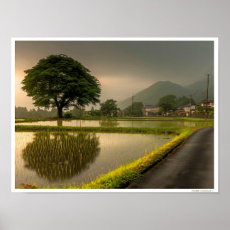 FINE ART ILLUSTRATION JAPAN RICE FIELDS POSTER