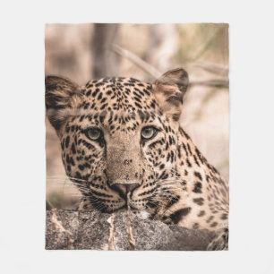 Fine art image of male leopard or panther portrait fleece blanket