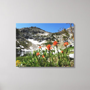 Fine Art Photo, Mountains Lake Wildflowers, Nevada Canvas Print