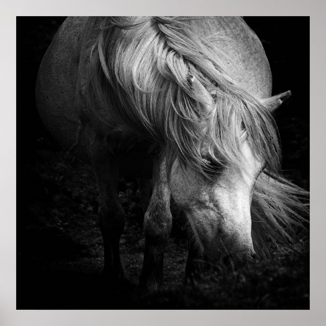 Fine Art Pony Head and Mane print (Front)