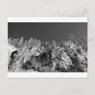 Fine Art Print Spearfish Canyon, Black Hills, SD Postcard