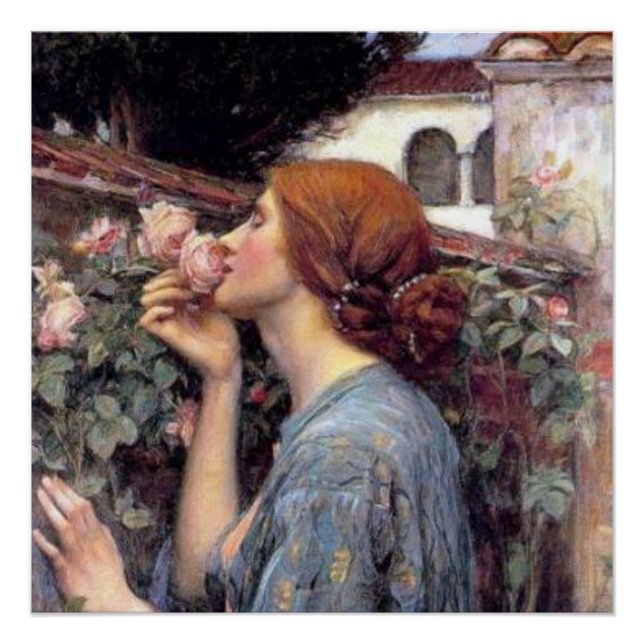 Fine Art The Soul of the Rose Poster (Front)