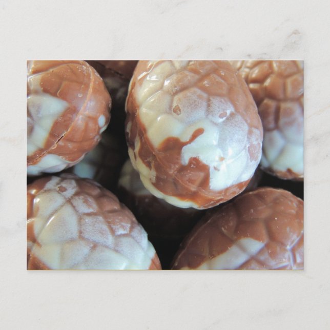 Fine Belgian chocolate Easter eggs, customizable Holiday Postcard (Front)