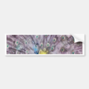 Fine Feather Peacock Mating Plumage Bumper Sticker