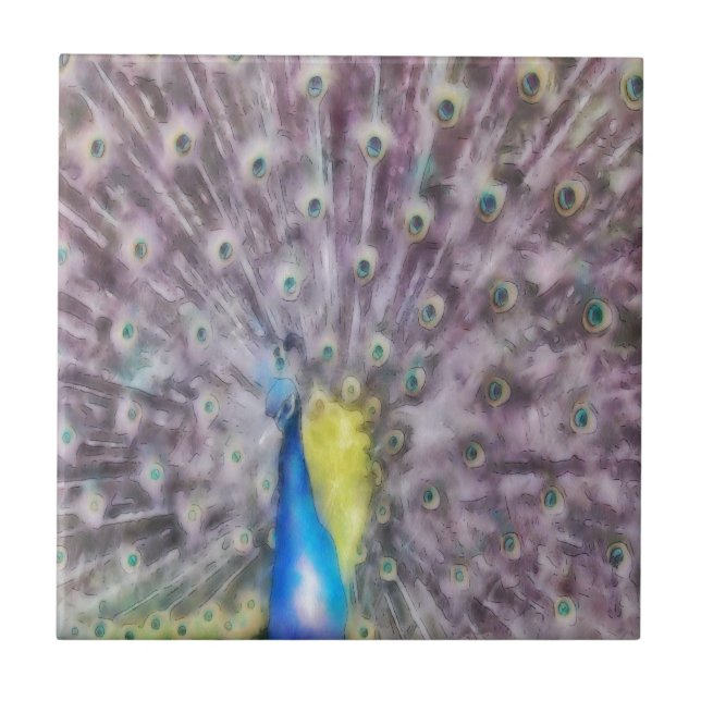 Fine Feather Peacock Mating Plumage Tile (Front)