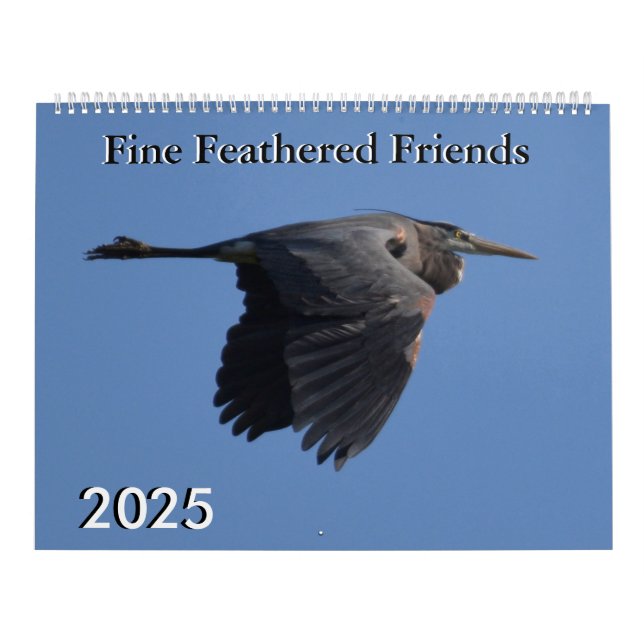 Fine Feathered Friends 2025 Calendar (Cover)
