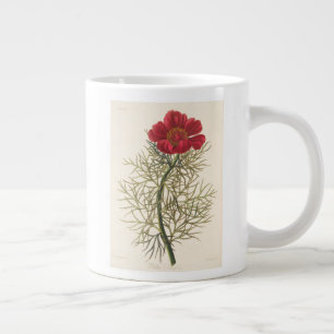 Fine Leaved Paeony Large Coffee Mug