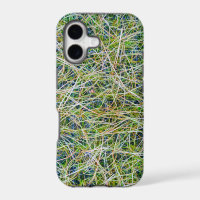 Fine Ornamental Sedge Grass