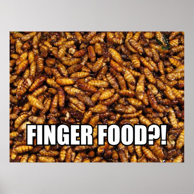 FINGER FOOD?! MEME POSTER (Front)
