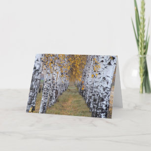 Finland Birch Forest Card