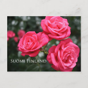 Finland in Flowers, 3rd in a series Postcard