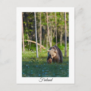 Finland nature souvenir postcard