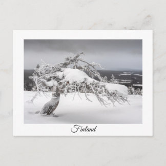 Finland winter souvenir postcard