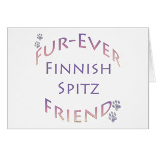 Finlandais Spitz Furever