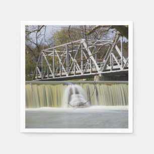 Finley Dam After The Rain Napkin