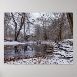 Finley Winter Snow Poster