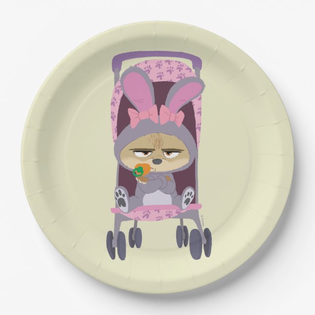 Finnick  - Baby Bunny Stroller Paper Plate (Front)