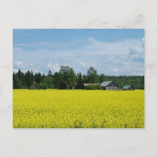Finnish Countryside postcard