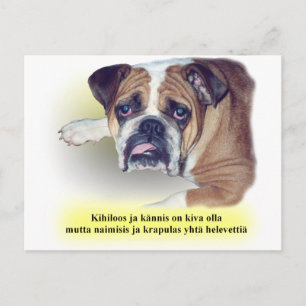 Finnish hangover bulldog postcard