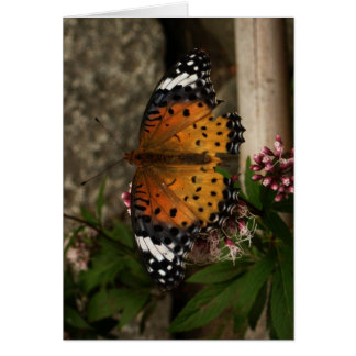 Finnish-Hyvää Syntymäpäivää-butterfly