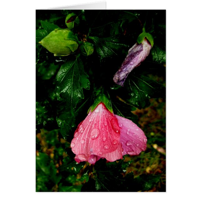 Finnish-Hyvää Syntymäpäivää-raindrops (Front)