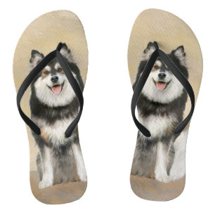 Finnish Lapphund Painting - Cute Original Dog Art Flip Flops