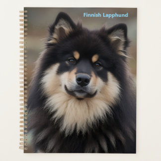 Finnish Lapphund Planner