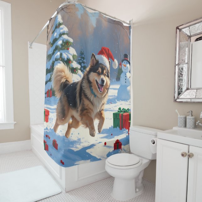 Finnish Lapphund Running Snow with Christmas Hat (In Situ)
