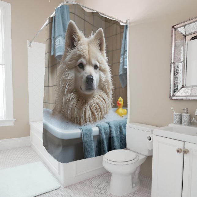 Finnish Lapphund  Sloppy Sleepy Cute Funny  (In Situ)