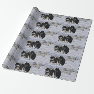 Finnish Lapphunds Wrapping Paper