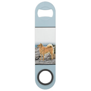 Finnish Spitz at Seashore Painting - Dog Art Bar Key