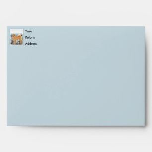 Finnish Spitz at Seashore Painting - Dog Art Envelope