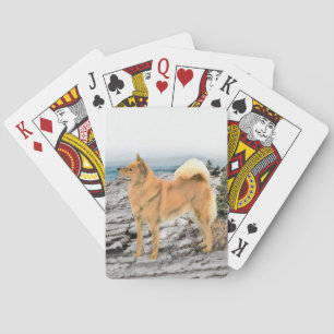 Finnish Spitz at Seashore Painting - Dog Art Playing Cards