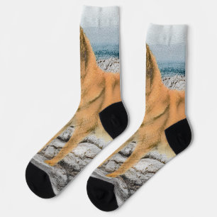 Finnish Spitz at Seashore Painting - Dog Art Socks