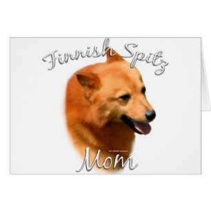 Finnish Spitz Mom 2