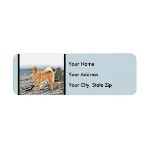 Finnish Spitz Painting - Cute Original Dog Art