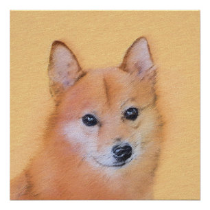 Finnish Spitz Painting - Cute Original Dog Art Poster