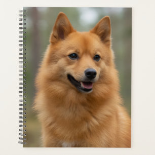 Finnish Spitz Planner
