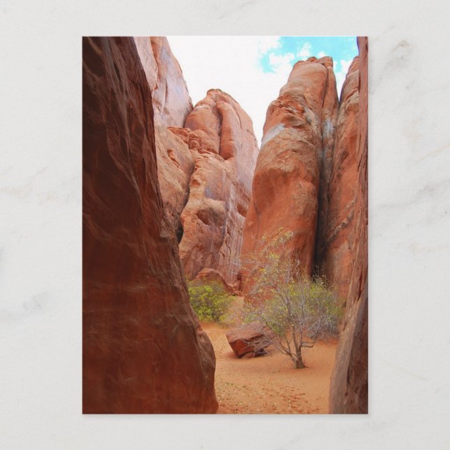 Fins, Arches National Park, Utah, Postcard (Front)