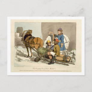 Fins Bringing Live Fish to Market, etched by the a Postcard