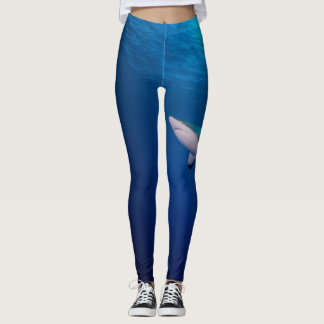Fins Fin : Reef Shark and ripples Leggings