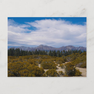 Fiordland, New Zealand - Postcard