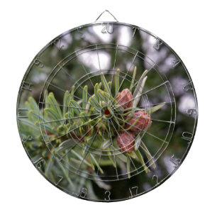 Fir buds dartboard
