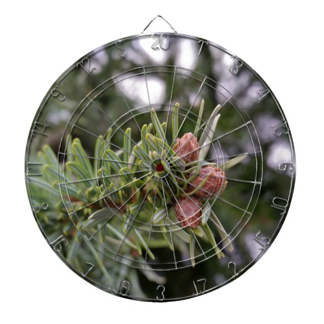 Fir buds dartboard (Front)