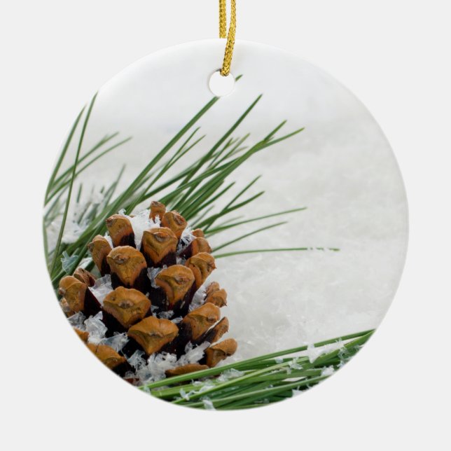 Fir Cone avec Flacons de neige rond Ornement de No (Devant)