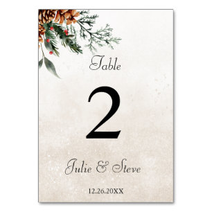 Fir cones wedding table number