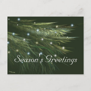 FIR FRONDS HOLIDAY POSTCARD