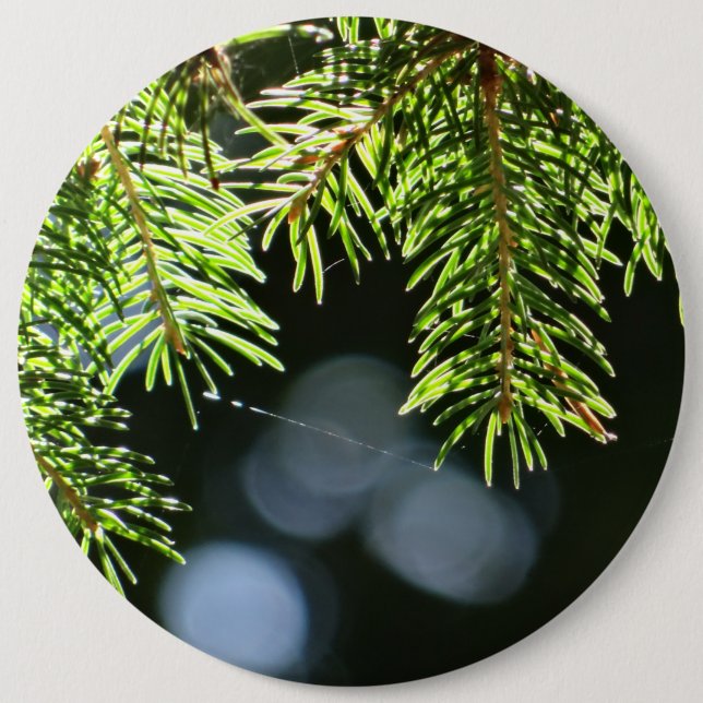 Fir pine needles with bokeh 6 inch round button (Front)