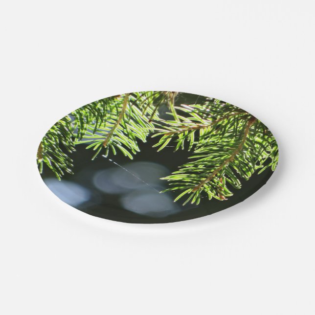 Fir pine needles with bokeh paper plate (Angled)