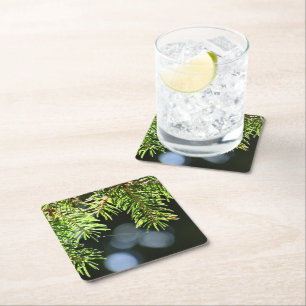 Fir pine needles with bokeh square paper coaster